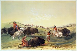 Buffalo Hunt，来自Catlin的北美印第安收藏品的7号板，由McGahey，Day和Haghe雕刻而成