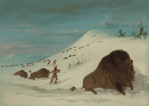 水牛在雪地上漂流--苏族，1861-869。 作者 乔治·卡特琳