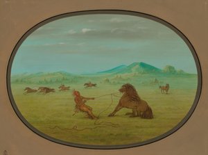 捕捉野马--波尼，18611869。 作者 乔治·卡特琳