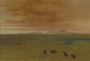 Grand Lavoir, Pampa del Sacramento, 18541869. 作者 乔治·卡特琳