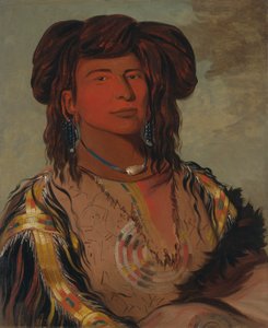 Ha-wón-je-tah，独角，米尼孔朱部落首领 作者 乔治·卡特琳