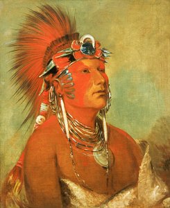 Jee-hé-o-hó-shah，不能被扔下，一个战士，1832年。 作者 乔治·卡特琳