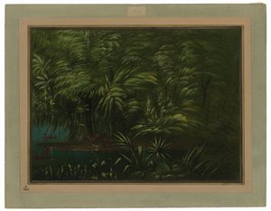  作者 乔治·卡特琳