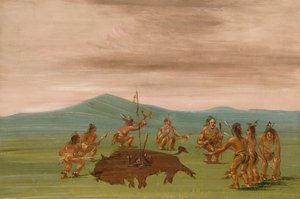 苏族的药水牛，1837-1839。 作者 乔治·卡特琳