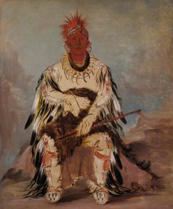 No-wáy-ke-súg-gah，一箭双雕的勇士 作者 乔治·卡特琳