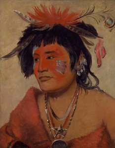 Pah-shee-náu-shaw，一个勇士，1831年。 作者 乔治·卡特琳
