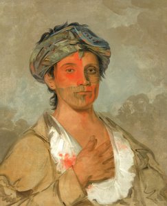 Pah-te-cóo-saw，直男，半文明人，1830年。 作者 乔治·卡特琳