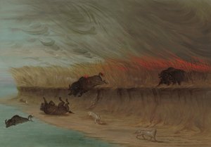 草原草地燃烧，18611869年。 作者 乔治·卡特琳