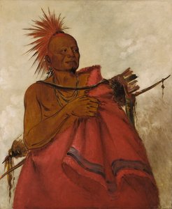 Tcha-tó-ga，疯狂的水牛，杀害两个白人的凶手，1834年。 作者 乔治·卡特琳