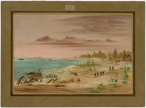  作者 乔治·卡特琳