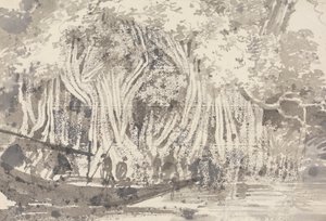 一棵Pipul树 作者 乔治·钦纳里