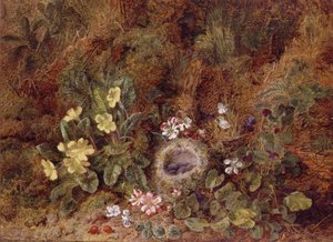 燕窝和野花的静物画 作者 乔治·克莱尔