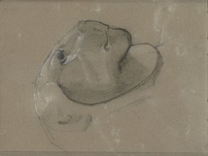 狮头，可能是根据雕塑制作的 作者 乔治·克劳森