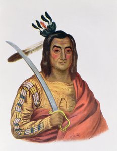 Mou-Ka-Ush-Ka或&39;颤抖的地球&39;，Yankton Sioux酋长，来自&39;北美印第安部落&39;的插图，由Thomas L. McKenney和James Hall，pub。约翰格兰特