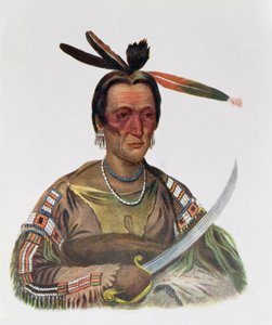 1837年，Yankton Sioux酋长To-Ka-Cou，来自“北美印第安部落，第1卷”的插图，由Thomas L. McKenney和James Hall，pub。约翰格兰特