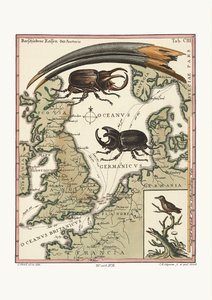 埃及宜必思的比尔和最少的蜂鸟，1749-73 作者 George Edwards