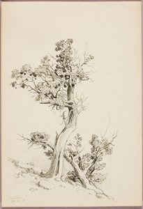 马尼托