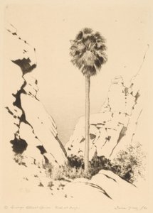 棕榈峡谷 (No.1)