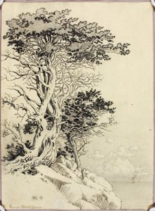 无题（供印刷用的图画） 作者 乔治·埃尔伯特·布尔