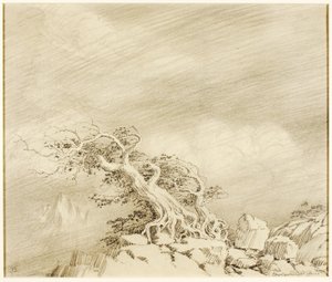 无题（林边附近风暴的转移图） 作者 乔治·埃尔伯特·布尔