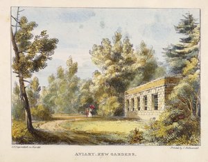 Aviary，Kew Gardens，Kew Gardens 10号板块：石头上的二十四幅图纸系列，由Charles Hullmandel（1789-1850）雕刻，1820年出版（手工彩色版画）