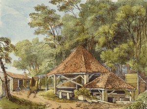 水厂，Kew花园，Kew花园22号板块：石头上的二十四幅图纸系列，由Charles Hullmandel（1789-1850）雕刻，1820年出版（手工彩色版画）