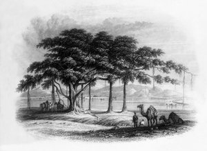 Runjeet Singh在Sutlej河上的Roopur的安营扎寨》，1838年。