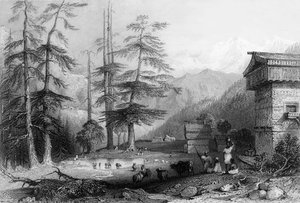 乔尔附近的科赫拉村和迪达拉森林》，1838年。