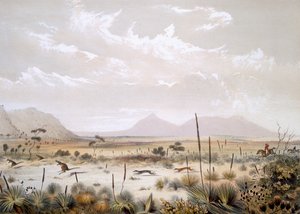 林肯港附近的袋鼠狩猎，来自“南澳大利亚画报”，1847年出版（手工彩色雕刻） 作者 乔治·法国·安加斯