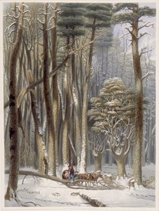 冬季，松树林中的旅行受阻，来自美国原始森林的Harveys场景，1841年（手工彩色aquatint） 作者 乔治·哈维