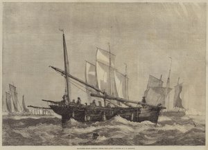 Mackerel-Boats正在进行中