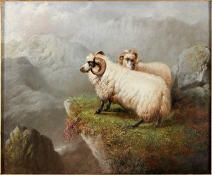 在峭壁边缘的绵羊，c.1865-68
