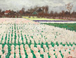 风信子田野 作者 乔治·希区柯克