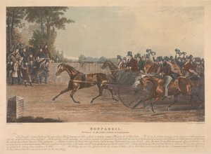 "Nonpareil" / 骑士桥约翰-迪克森先生的财产 / 1836 年 4 月 27 日星期三，这只神奇的动物在森伯里英亩（Sunbury Common）上进行了一场史无前例的比赛，身着马具奔跑了 100 英里。...