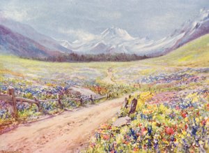 费雷特山谷六月的丹参、箭毒等草甸，就在抵达普拉兹德堡村之前（彩色石版画） 作者 乔治·杰克逊·弗莱姆威尔