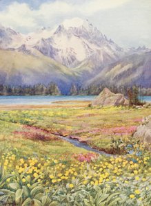 六月初尚佩的上层田野，远处是大孔宾山（彩色石版画） 作者 乔治·杰克逊·弗莱姆威尔