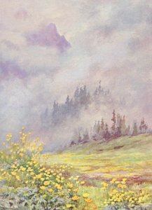 六月初云雾缭绕的田野上的球花 Trollius europaeus（彩色石版画） 作者 乔治·杰克逊·弗莱姆威尔
