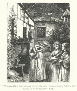 韦克菲尔德牧师的插图（版画）