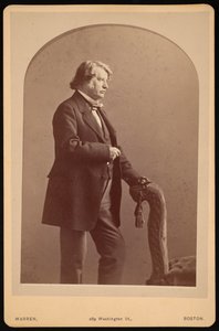 查尔斯-萨姆纳的肖像，1811-1874年，1872年至1874年之间。