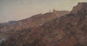 1915 年安扎克登陆