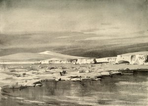 鲸鱼湾或气球湾，1909年，1909年。 作者 乔治马斯顿