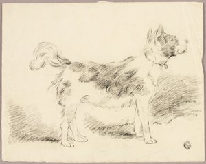 牧羊犬 作者 乔治·莫兰德