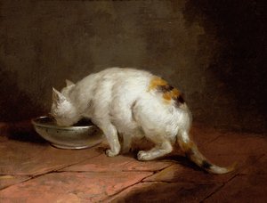 艺术家的猫饮酒 作者 乔治·莫兰德