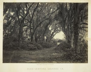 Buen-Ventura Savannah, Ga., 1866。 作者 乔治·N·巴纳德