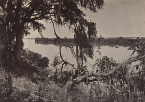 萨瓦纳河，佐治亚州萨瓦纳附近，1860年代。 作者 乔治·N·巴纳德