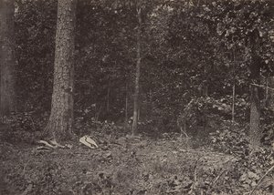 麦弗逊将军的死亡现场，1864年或1866年。 作者 乔治·N·巴纳德