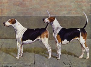 Puckeridge Foxhounds殖民者和红衣主教 作者 乔治·派斯