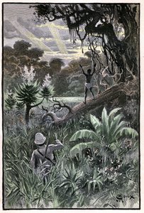George Roux 为儒勒-凡尔纳的著作《空中村落》（1901 年）绘制的插图，Hetzel 版/《非凡的旅行，已知和未知的世界》。非洲森林（刚果）景色。 作者 乔治·鲁克斯