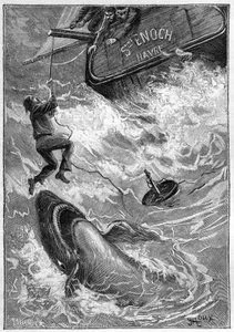 儒勒-凡尔纳的小说 "Les histoires de Jean-Marie Cabidoulin"（1901 年），Hetzel Collection/Extraordiaires，插图作者 George Roux。"海上场景：水手在太平洋被鲨鱼袭击