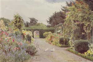 中国玫瑰和薰衣草，Palmerstown 作者 乔治·塞缪尔·埃尔古德